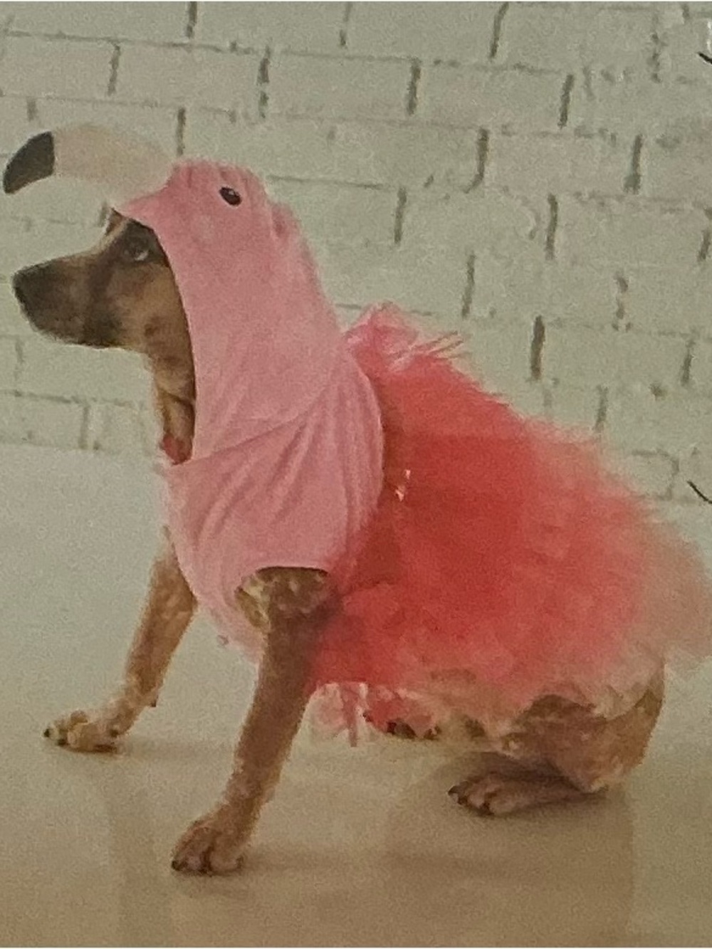 Pink Flamingo Hooded Plush Costume for Dogs